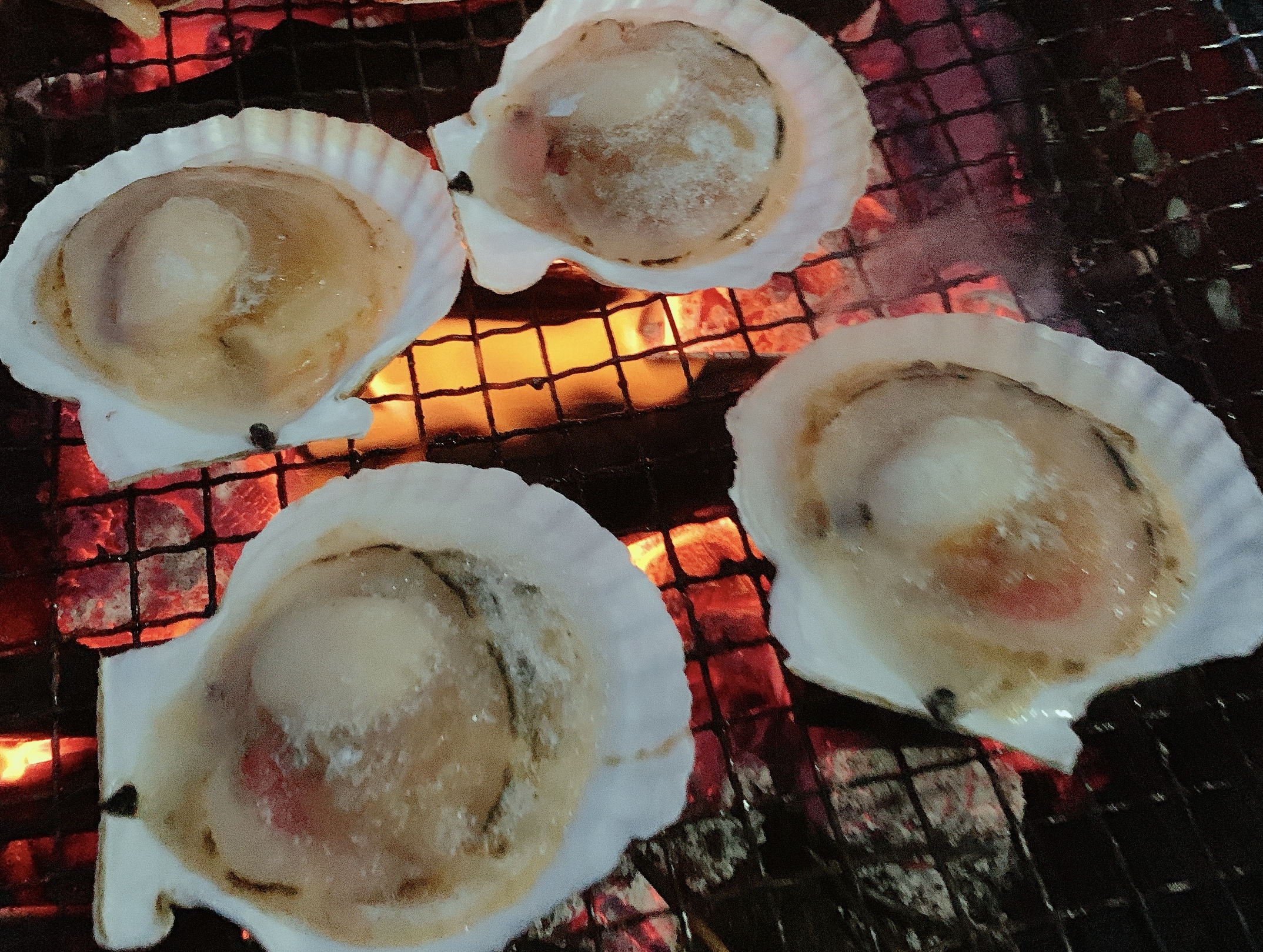 ｂｂｑでホタテ頂きました 道の駅しかべ間歇泉公園