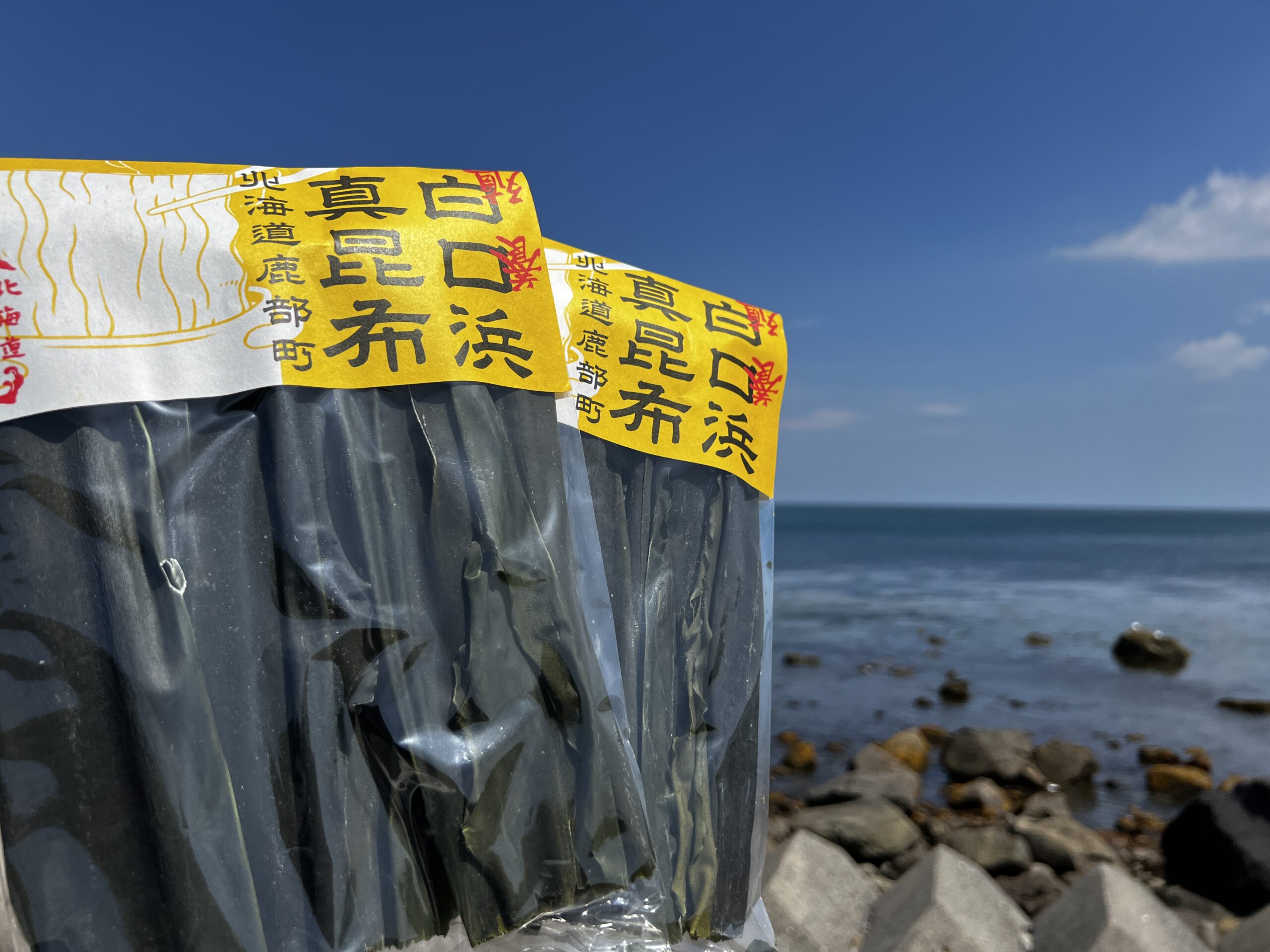 鹿部の漁師が育てる 白口浜真昆布 道の駅しかべ間歇泉公園