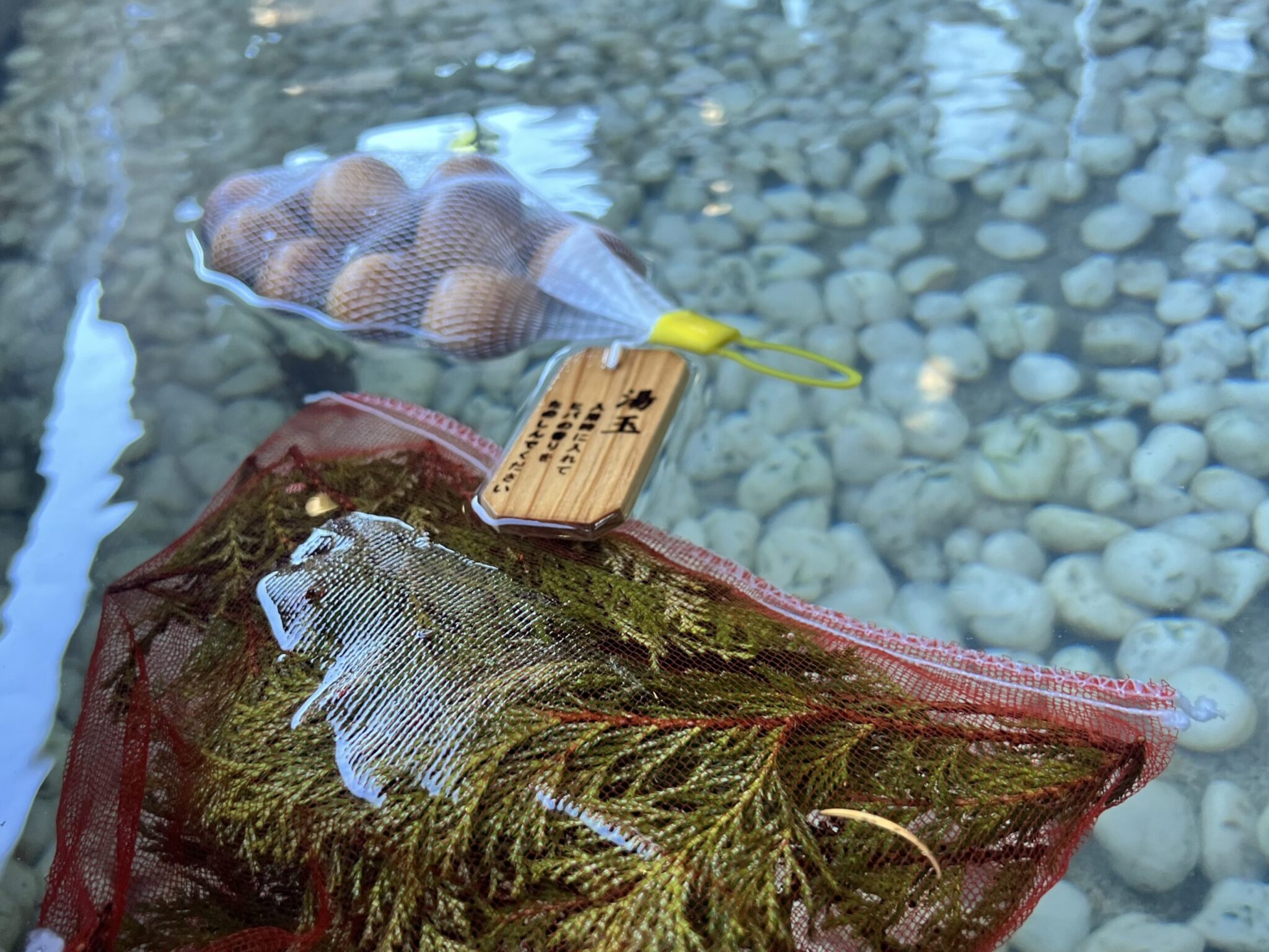 毎月第4日曜日は、しかべ間歇泉わくわくサンデー！！ 道の駅しかべ間歇泉公園